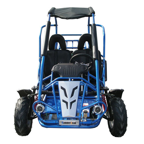 mud go kart 200cc 