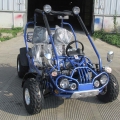 Beach Buggy Off Road Go Kart 