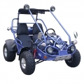 Beach Buggy Off Road Go Kart 