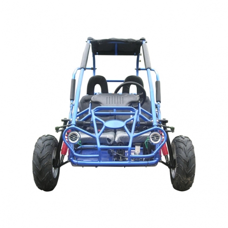 Bambini buggy di benzina 200cc