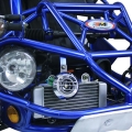 Benzina strada legale Buggy 300cc raffreddato blu 