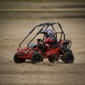 Hammerhead Shark Mini Go Kart Mini moto Red 