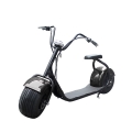 Grande ruota Scooter elettrico con sedile 1000W 