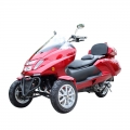 300cc Gas Scooter Trike a 3 ruote 