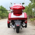 300cc Gas Scooter Trike a 3 ruote 