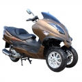 Motorino del Gas 300cc trike 