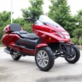 300cc Gas Scooter Trike a 3 ruote 