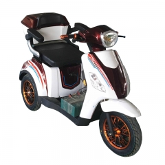 Mobilità Scooter per disabili 500w