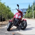 Triciclo a motore Scooter 50cc per adulti 