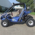 Beach Buggy Off Road Go Kart 