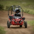 Hammerhead Shark Mini Go Kart Mini moto Red 