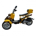 50cc 3 ruote Gas Scooter Trike Motorycycle 