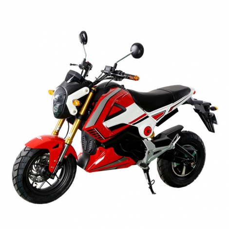 Adulti Electriec moto 1000W